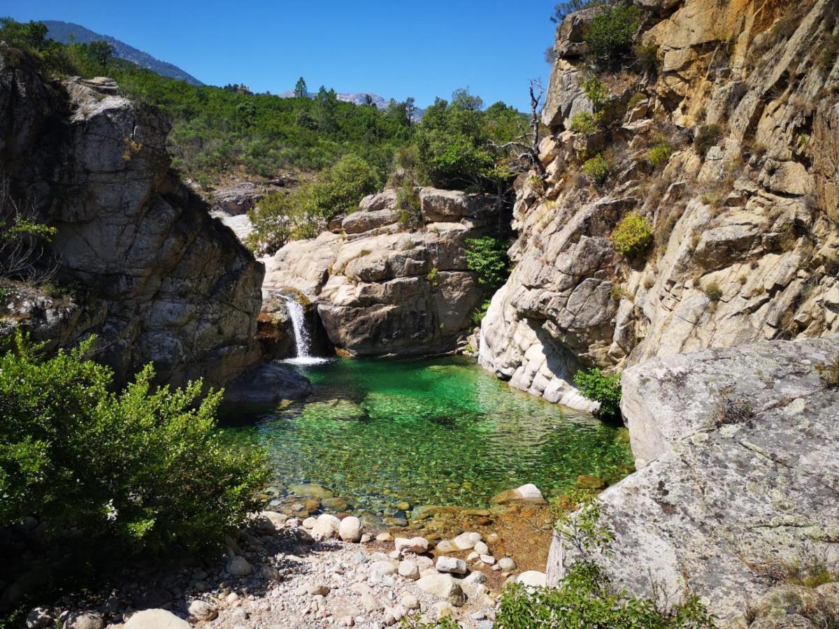Un Petit Paradis Pinarellu  Exterior photo